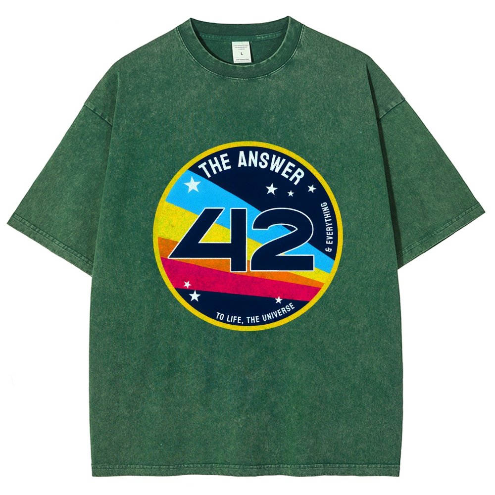 The Answer is 42 Vintage Distressed T-shirt