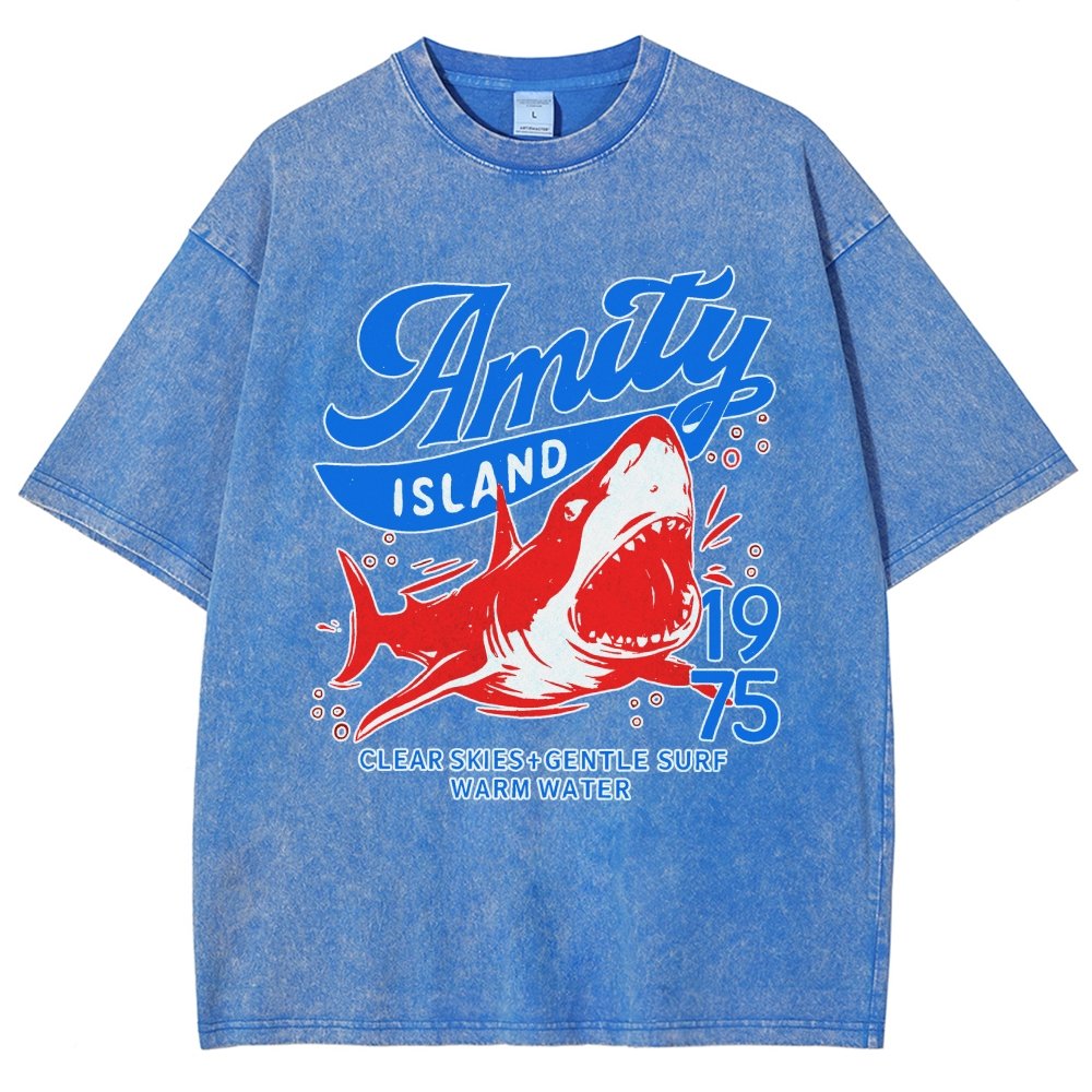 Seaside Town 1975 Vintage Distressed T-shirt