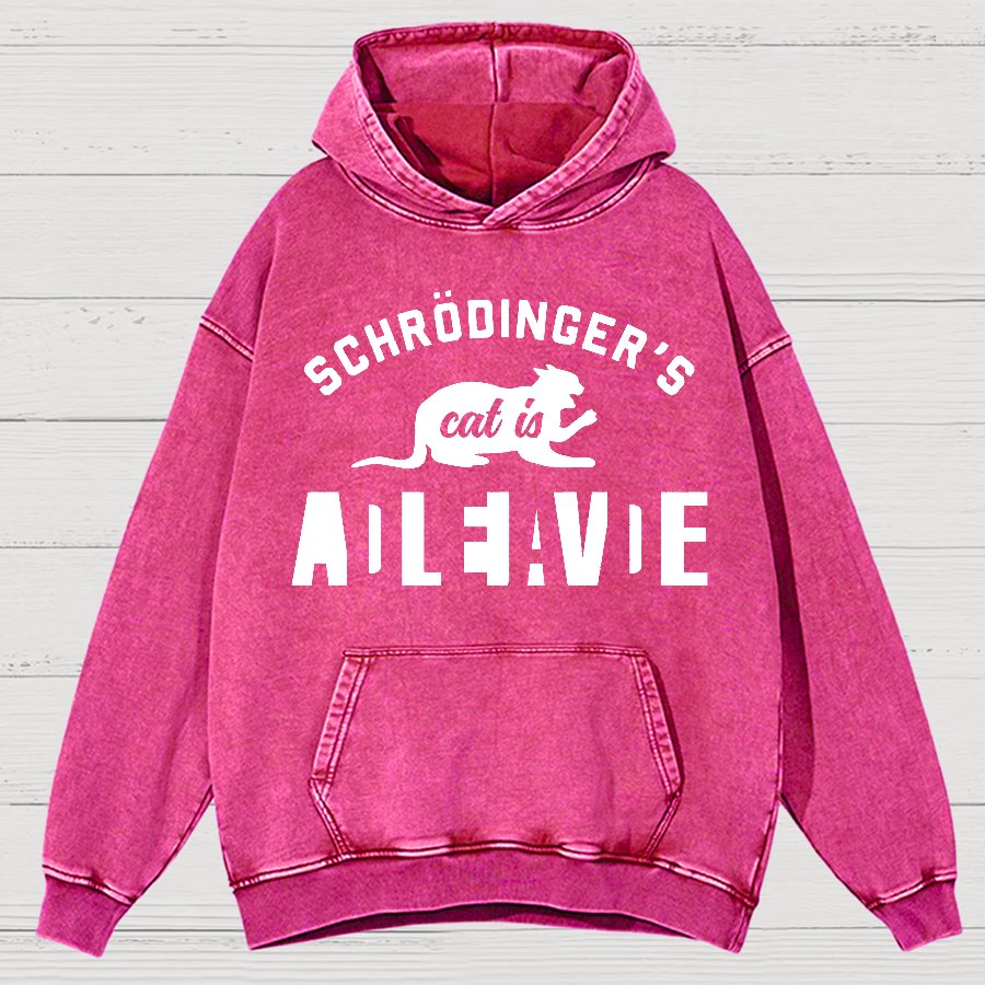 Schrodinger's Cat Vintage Distressed Hoodie