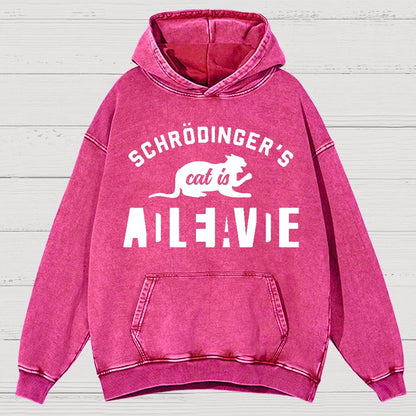 Schrodinger's Cat Vintage Distressed Hoodie