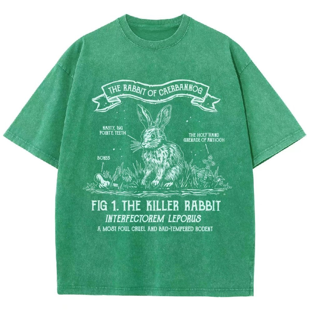 The Rabbit of Mysterious Place Vintage Distressed T-shirt