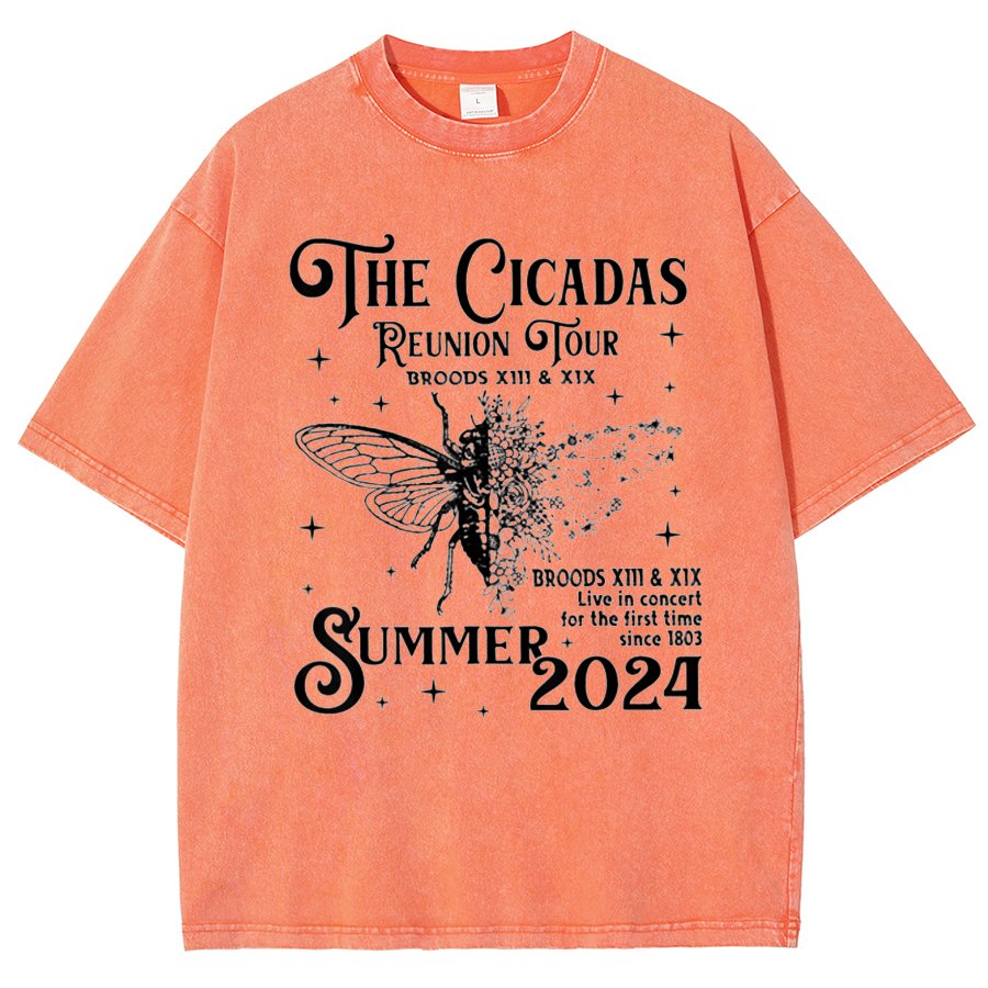 The Cicadas Reunion Tour Summer 2024 Vintage Distressed T-shirt