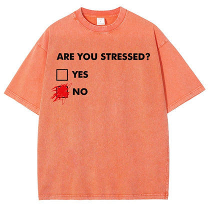 Fuuny Word Are You Stressed No Vintage Distressed T-shirt