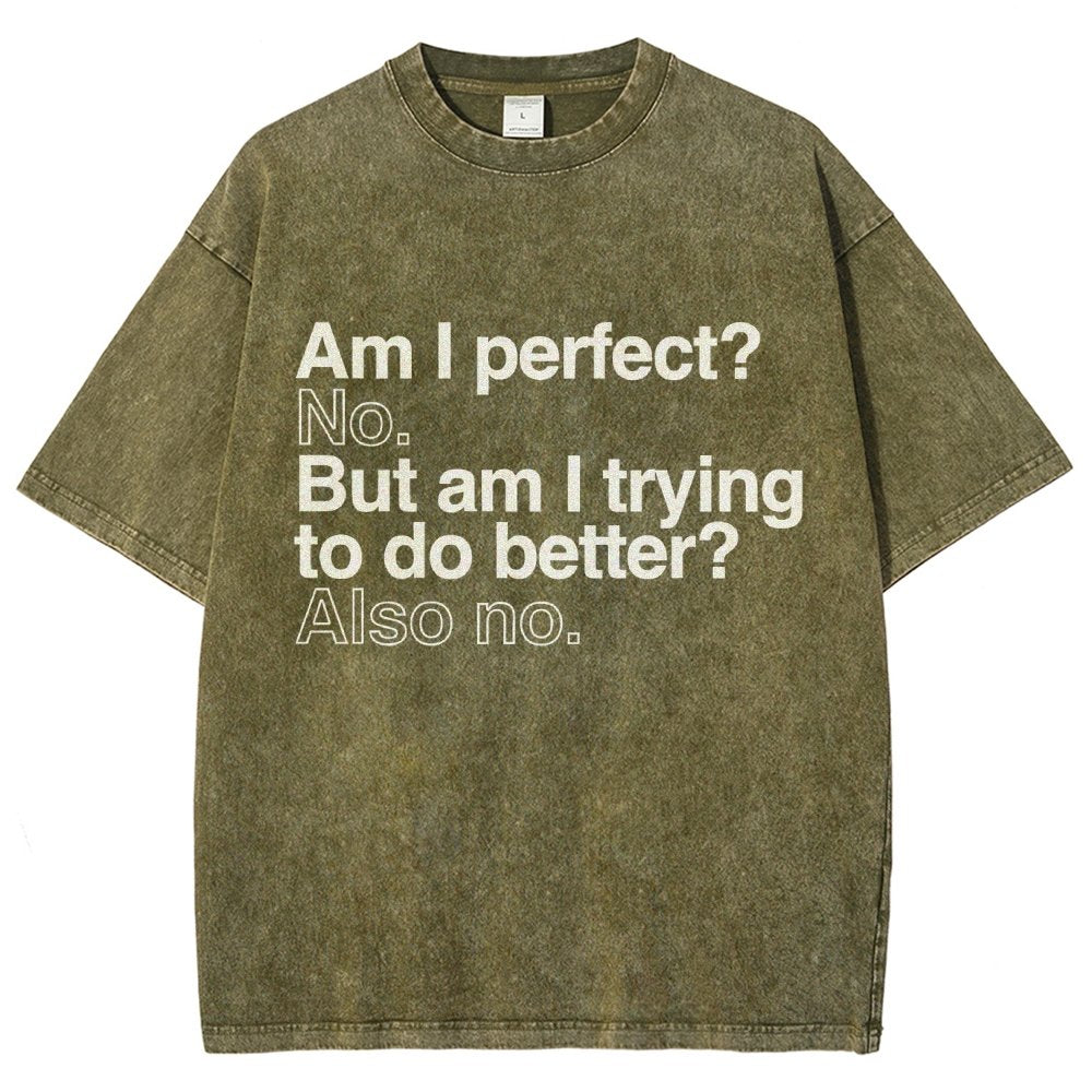 Am I Perfect? No. Am I Trying To Be Better Person Vintage Distressed T-shirt