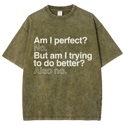 Am I Perfect? No. Am I Trying To Be Better Person Vintage Distressed T-shirt