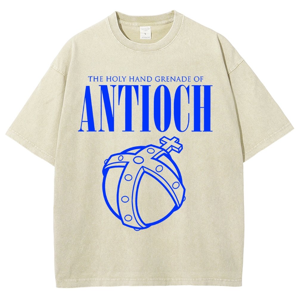 The Holy Hand Grenade of an Ancient Place Vintage Distressed T-shirt