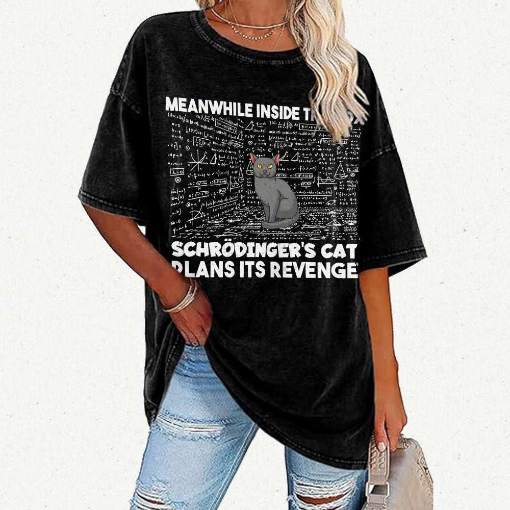 Inside The Box Schrödingers Cat Plans Its Revenge Vintage Distressed T-shirt