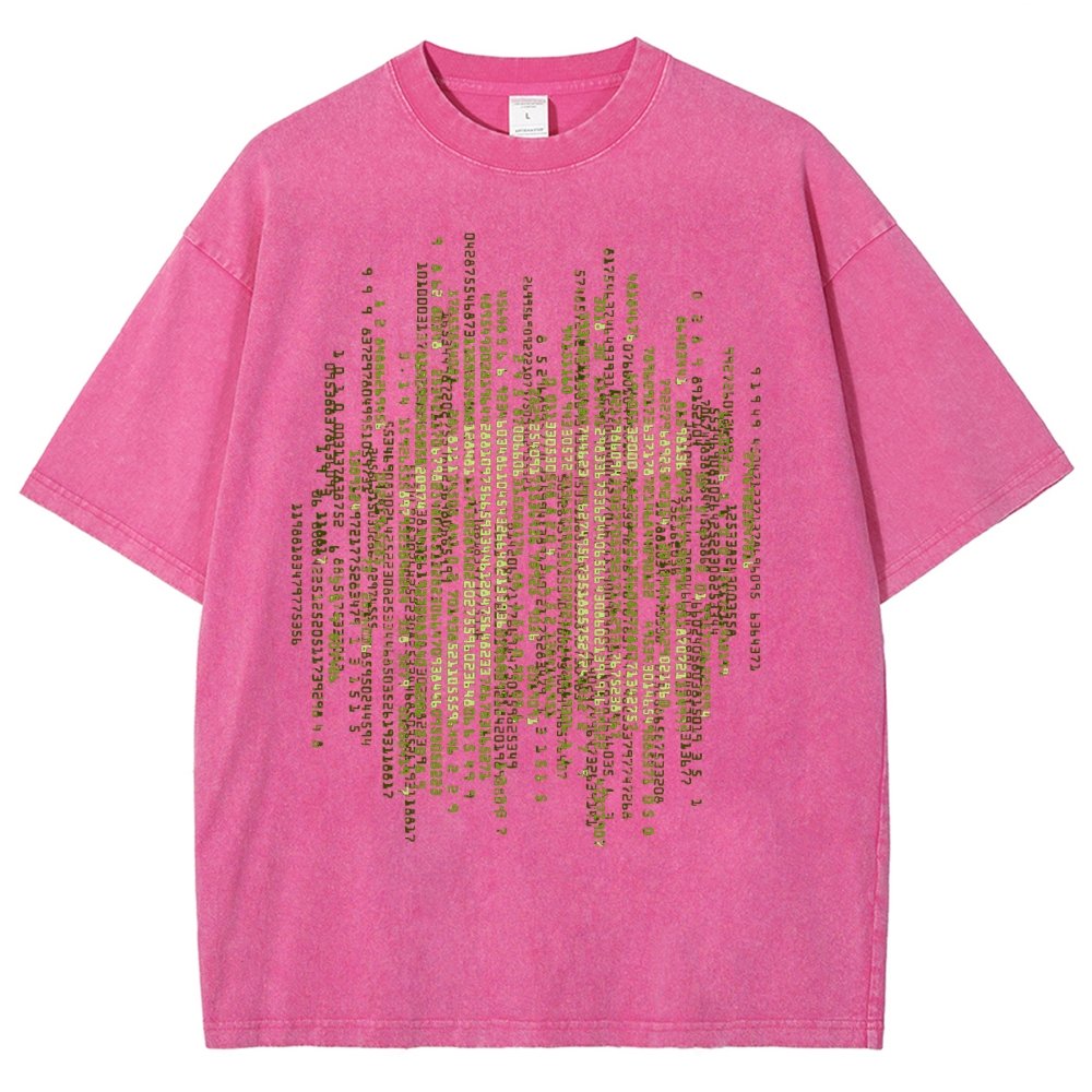 Enter The Pi Vintage Distressed T-shirt