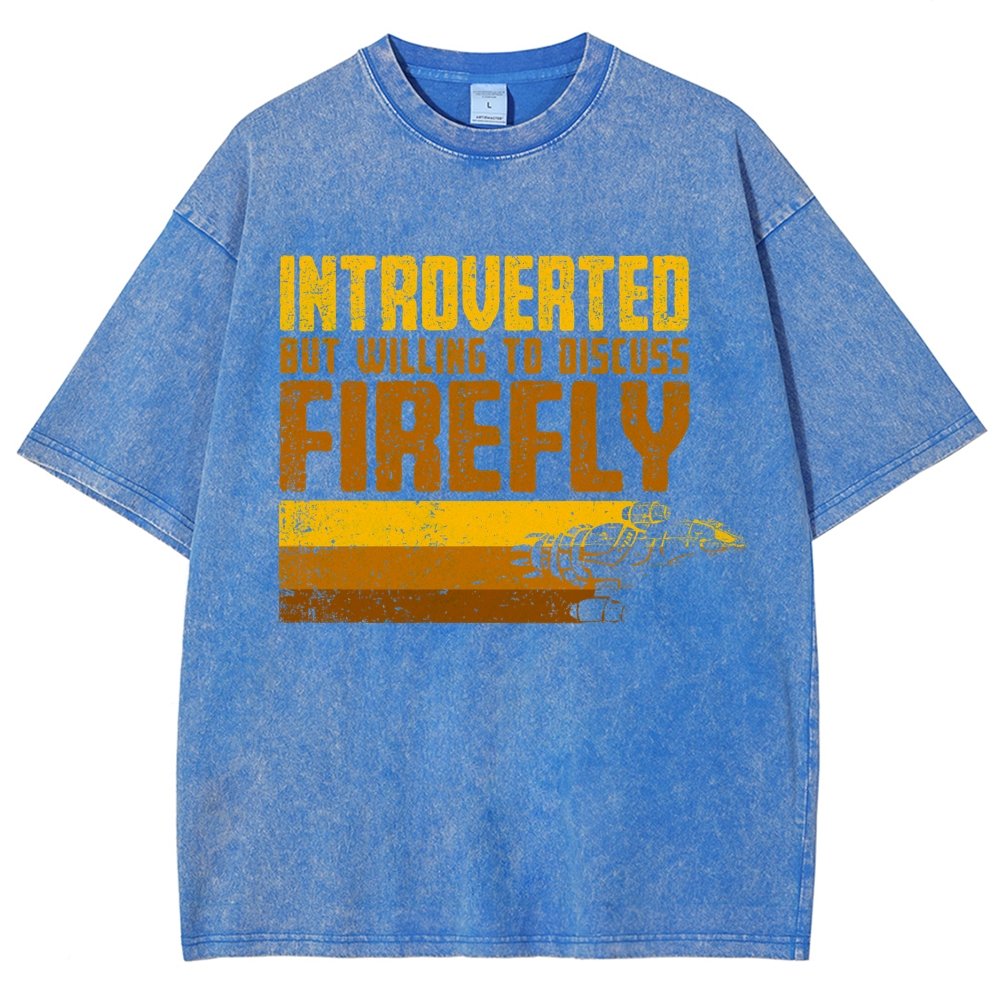 Introverted Wanderer Vintage Distressed T-shirt