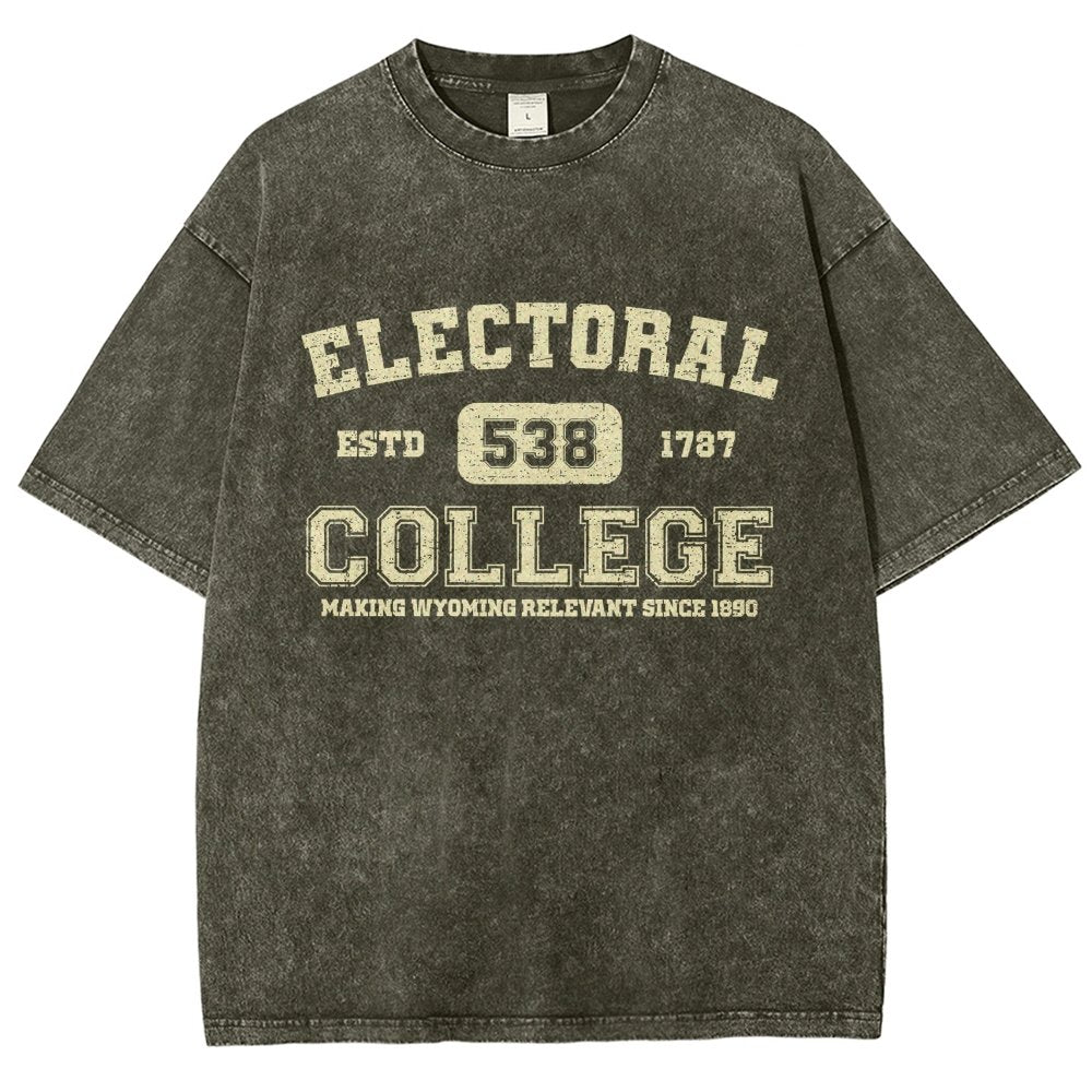 The Electoral College Vintage Distressed T-shirt