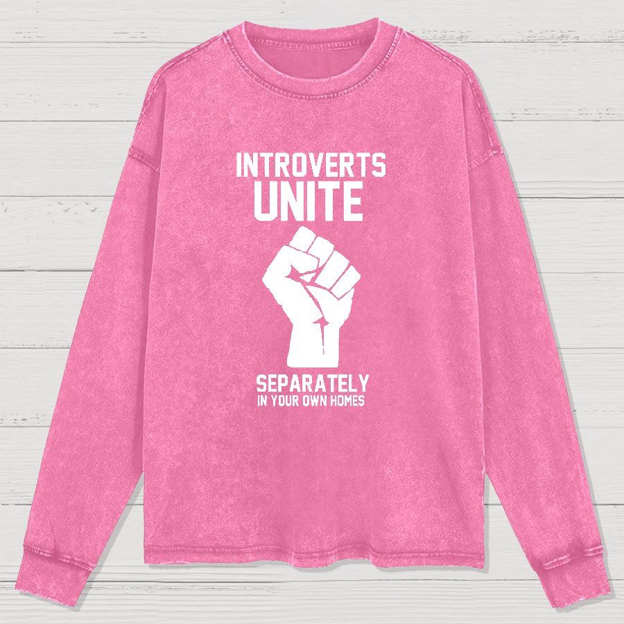 Introverts Unite Geek Washed Long Sleeve Tee