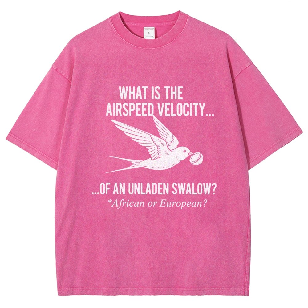 What Is The Airspeed Velocity...Art Print Vintage Distressed T-shirt