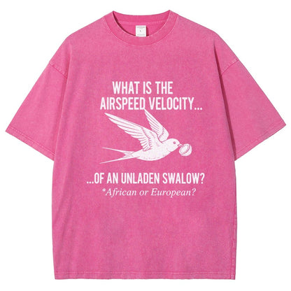 What Is The Airspeed Velocity...Art Print Vintage Distressed T-shirt