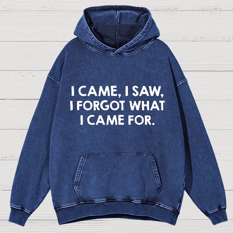 I Came and Saw Funny  Vintage Distressed Hoodie