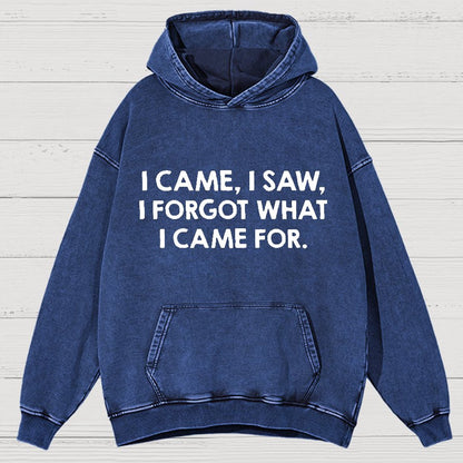 I Came and Saw Funny  Vintage Distressed Hoodie