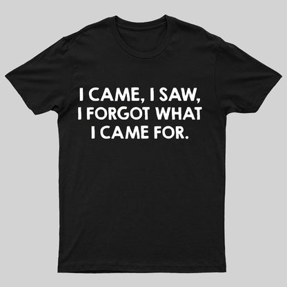 I Came and Saw Funny Geeky T-Shirt