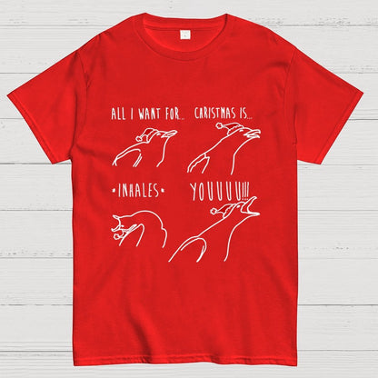 All I Want For Christmas Is You Geek T-Shirt