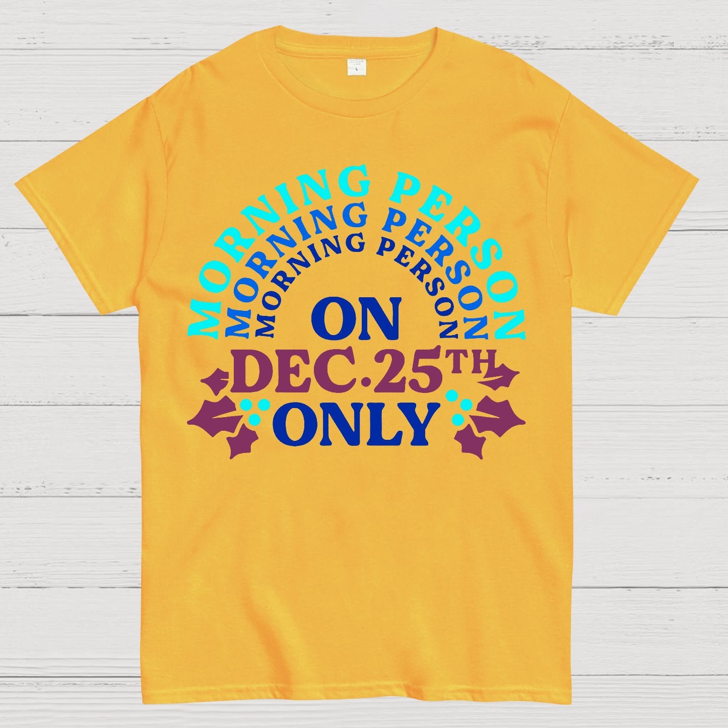 Morning Person On Dec 25th Only Christmas Geek T-Shirt
