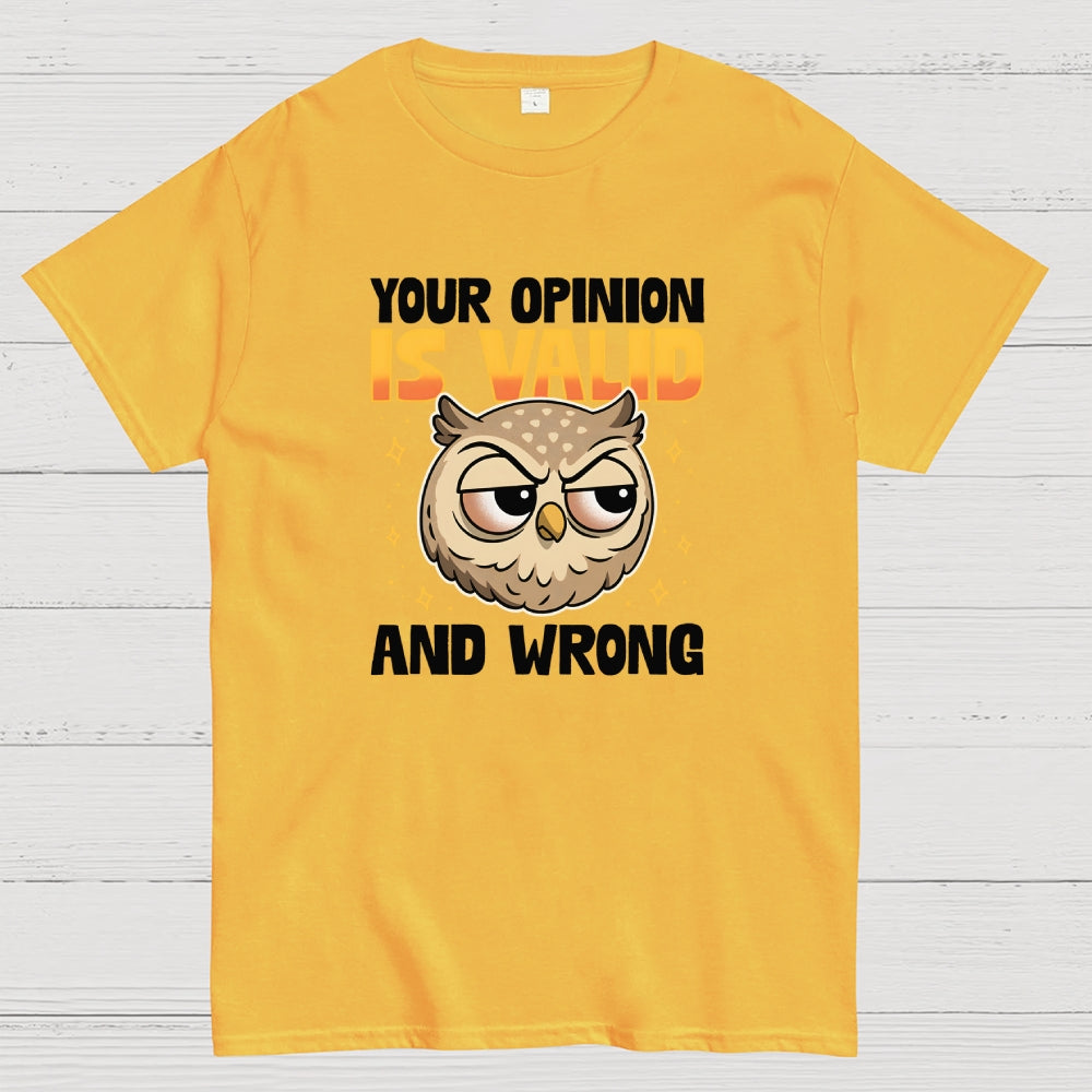 Valid But Wrong Geek T-Shirt