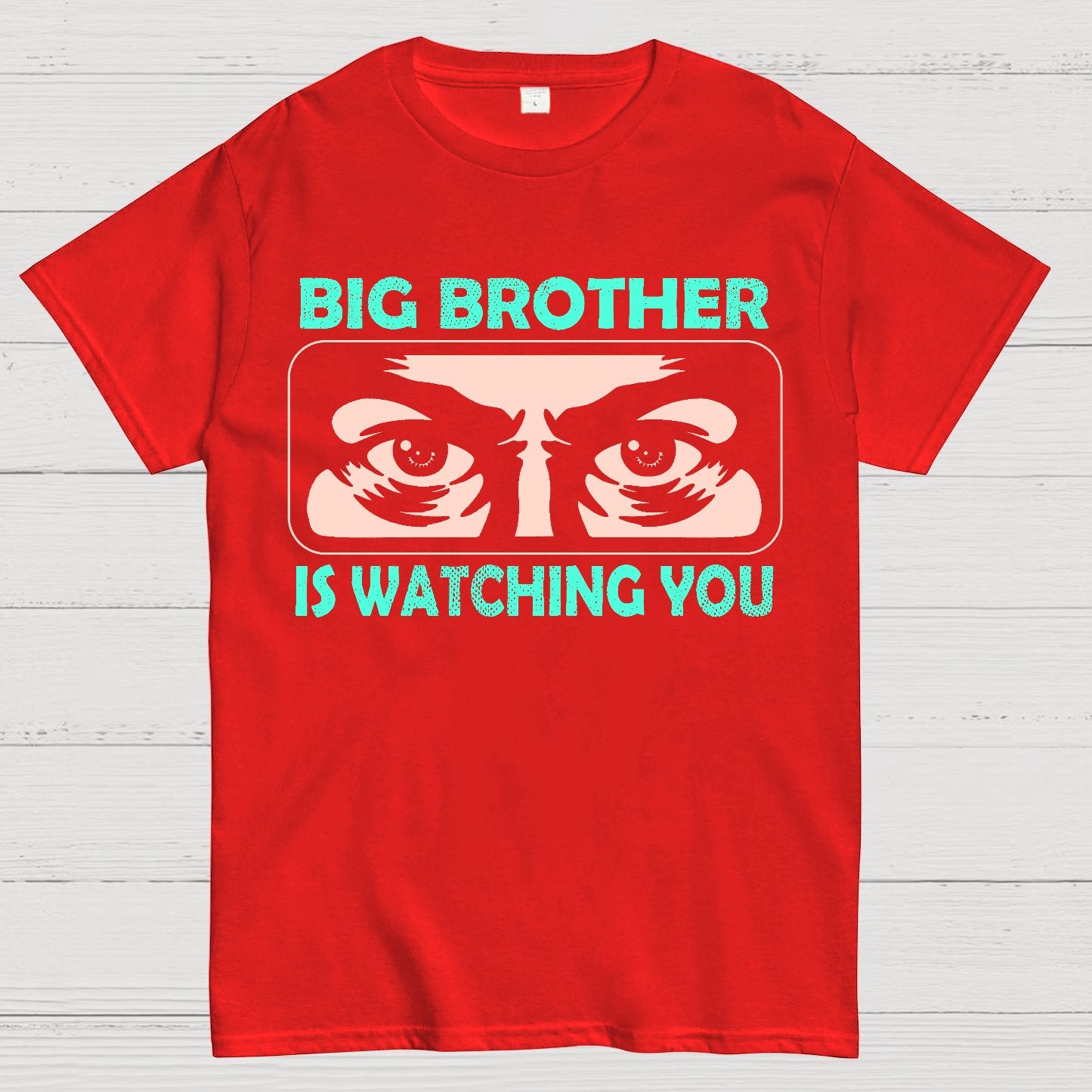 Ministry Of Truth Big Brother Is Watching You Sarcasm Geek T-Shirt