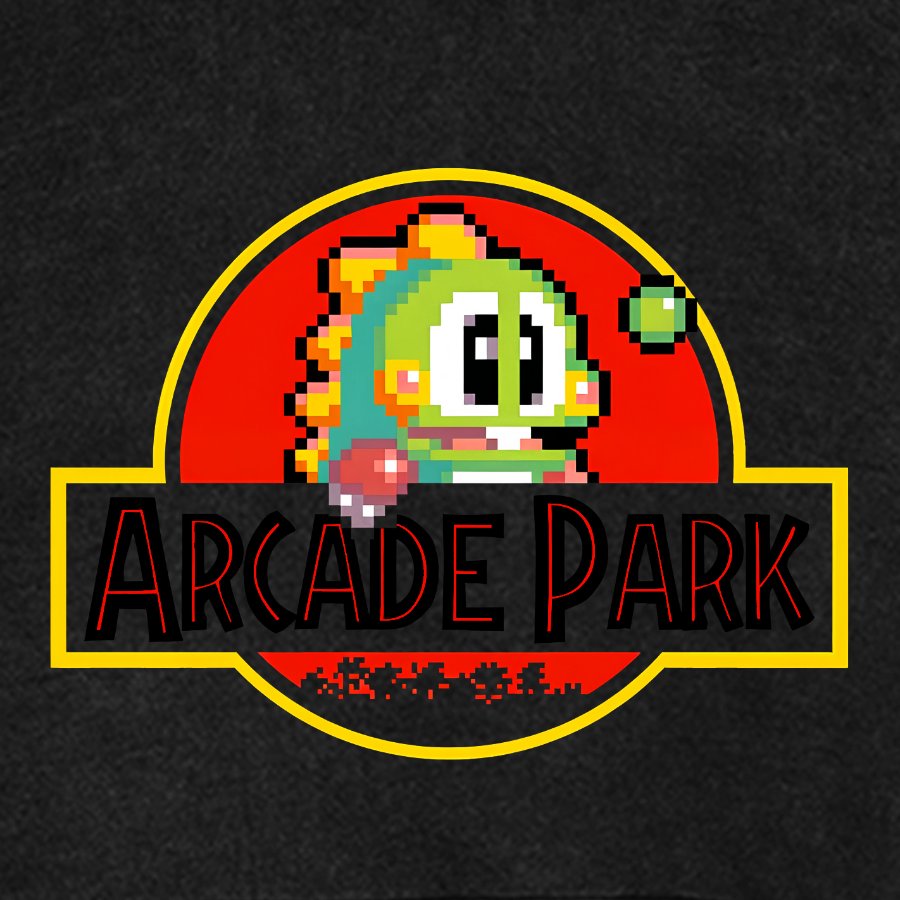 Arcade Park Vintage Distressed Hoodie