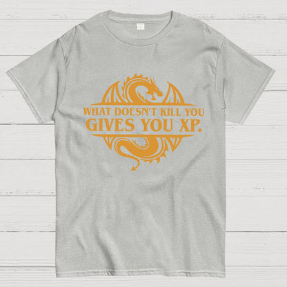 What Doesnt Kill You Give You Experience Geeky T-Shirt