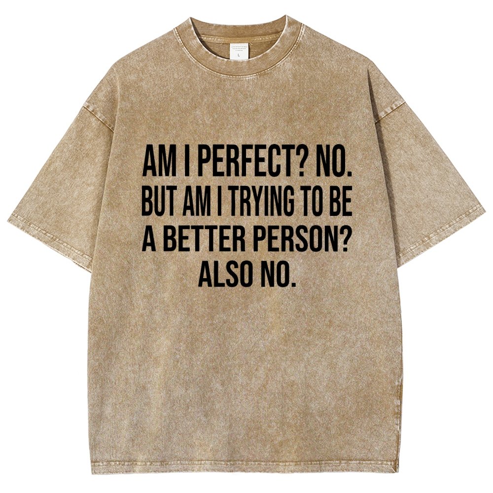 Am I Perfect No But Am I Trying To Be A Better Person Also No Vintage Distressed T-shirt