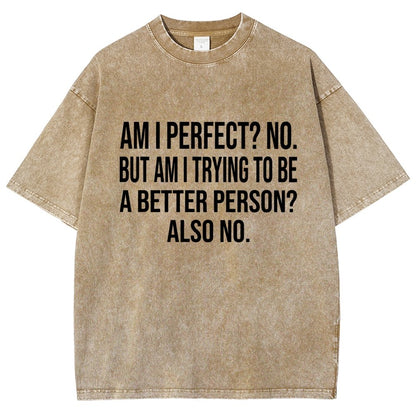 Am I Perfect No But Am I Trying To Be A Better Person Also No Vintage Distressed T-shirt