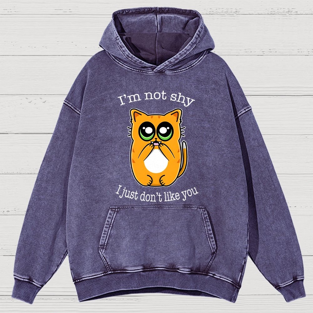Not Shy Vintage Distressed Hoodie
