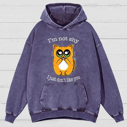 Not Shy Vintage Distressed Hoodie