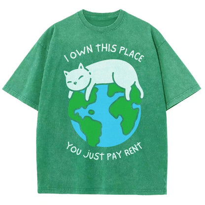 I Own This Place Vintage Distressed T-shirt