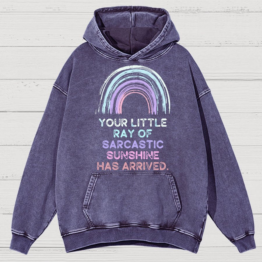 Your Little Ray of Sarcastic Sunshine Has Arrived Vintage Distressed Hoodie