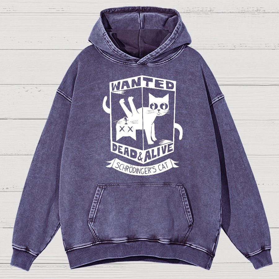 Schrödinger's Cat Mathe, Physics Vintage Distressed Hoodie