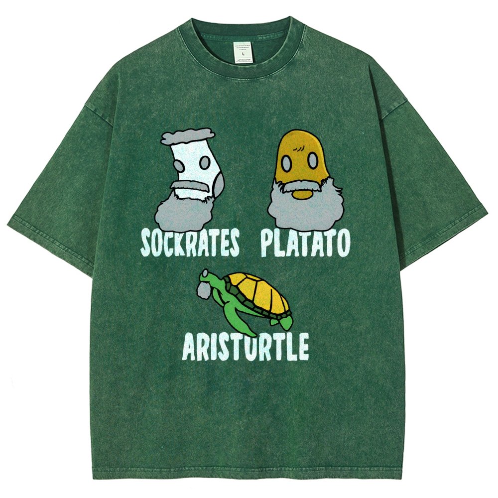 Sockrates Platato Aristurtle Vintage Distressed T-shirt