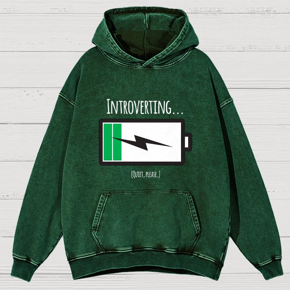 Introverting Vintage Distressed Hoodie