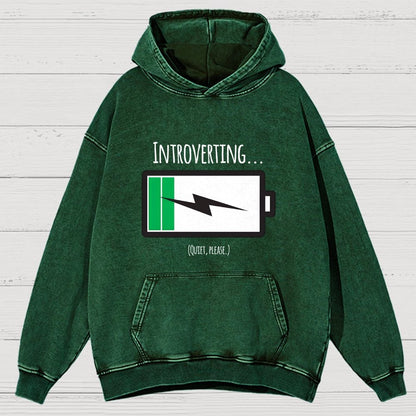 Introverting Vintage Distressed Hoodie