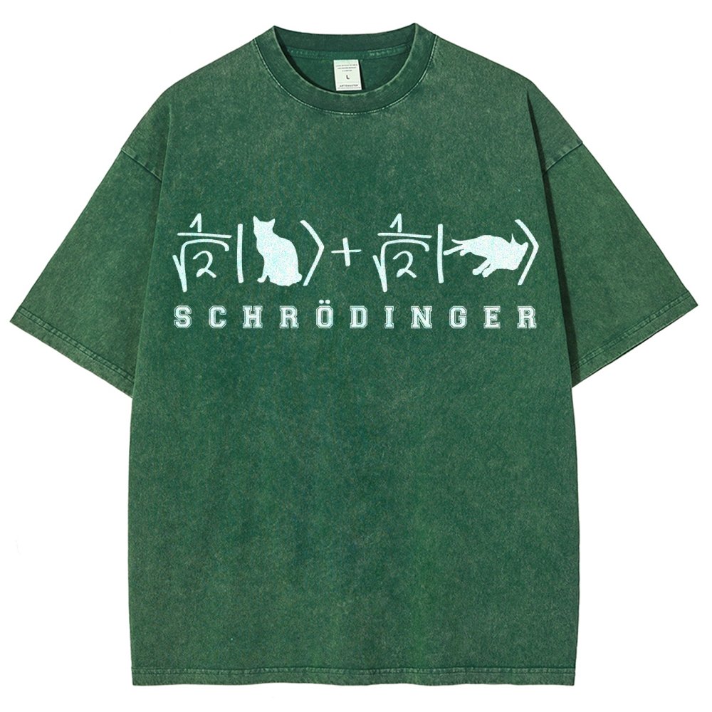 Schrödinger's Cat Vintage Distressed T-shirt