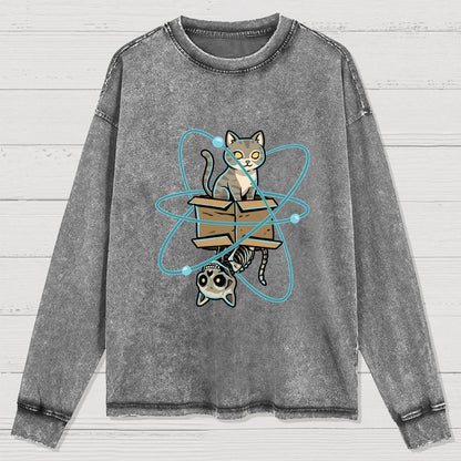 Schrodinger's Pet Washed Long Sleeve Tee
