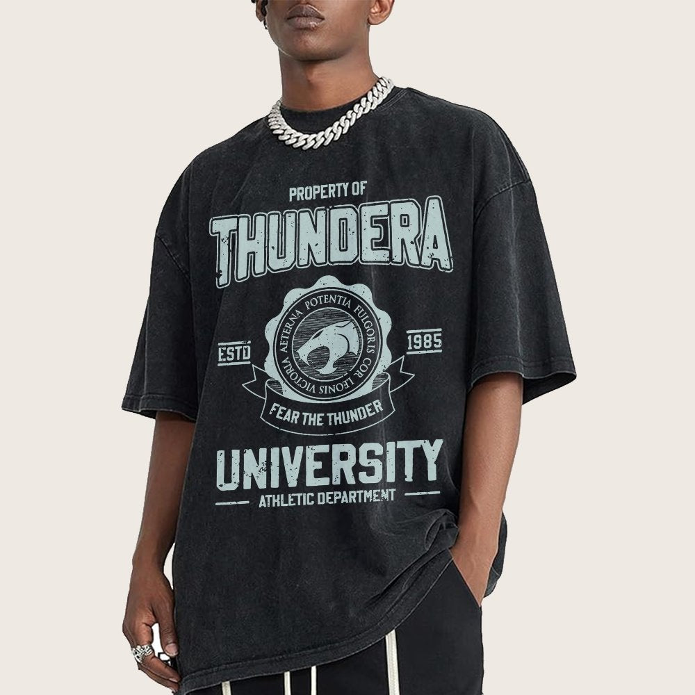 Mystic Valley University Vintage Distressed T-shirt