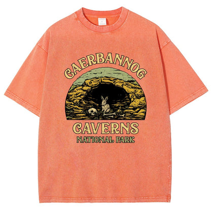 Mystic Caverns National Park Vintage Distressed T-shirt