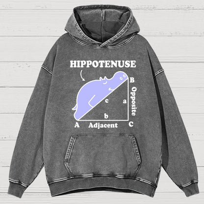 Hypotenuse Math Pun, Hippotenuse Essential Vintage Distressed Hoodie