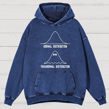 Math Statistics Normal Distribution Paranormal Distribution teacher gift Classic Vintage Distressed Hoodie