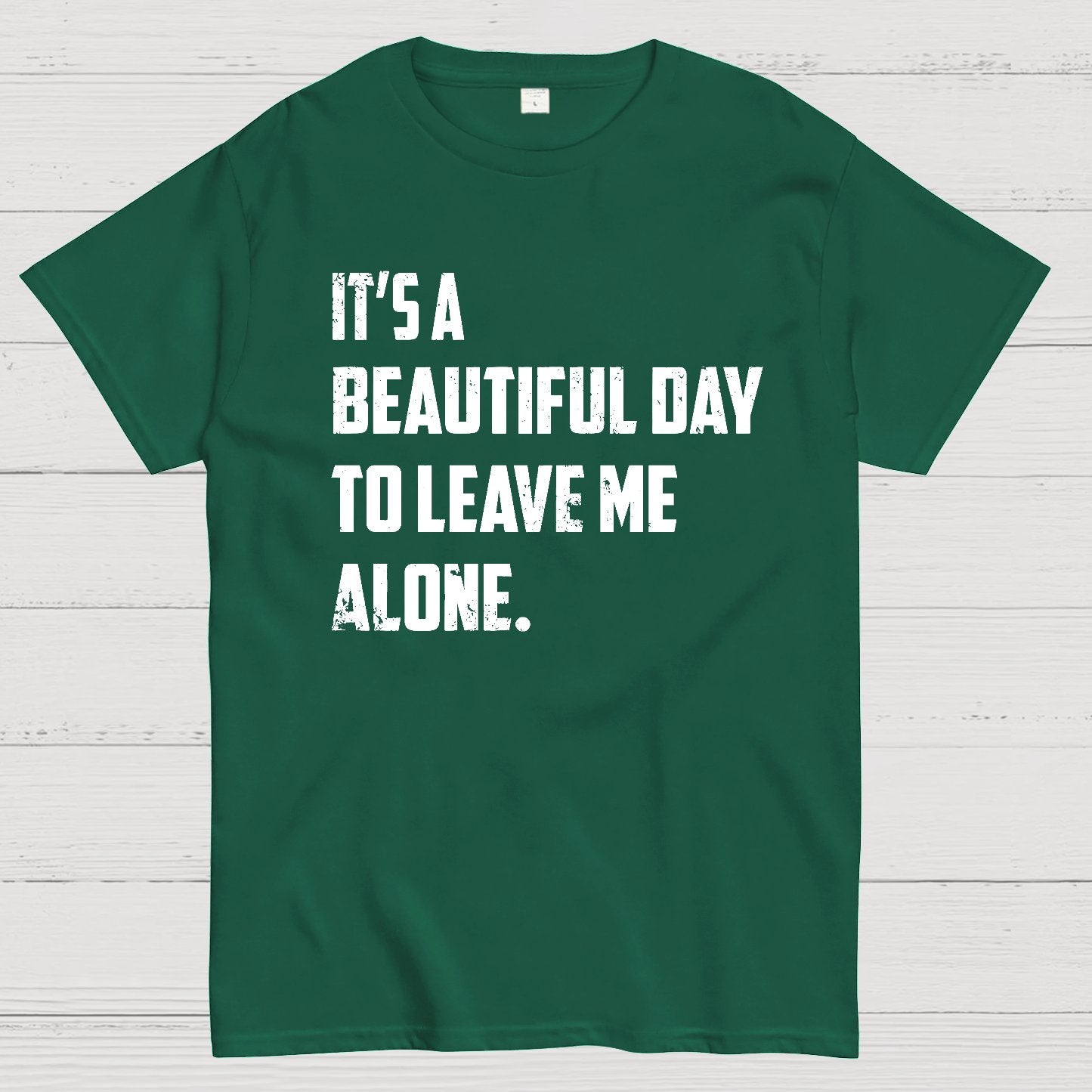 It's A Beautiful Day To Leave Me Alone Geek T-Shirt