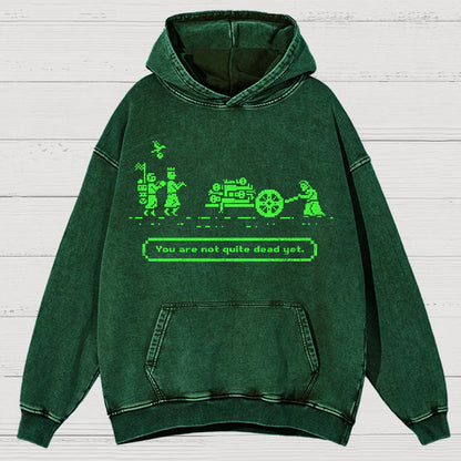 The Mystic Trail Vintage Distressed Hoodie