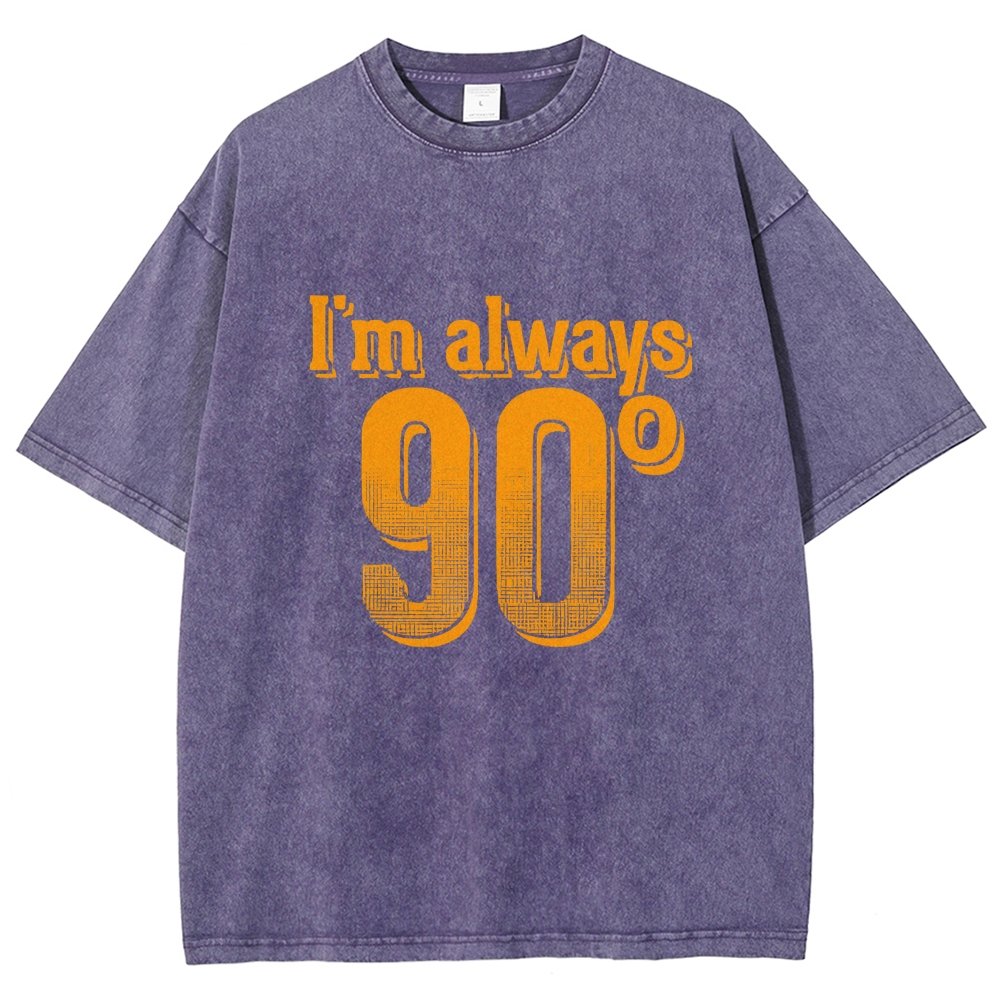I'm Always Right Math Vintage Distressed T-shirt
