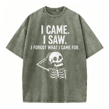 I Came. I Saw. I Forgot What I Came For. Funny Dark Humor T-Shirt