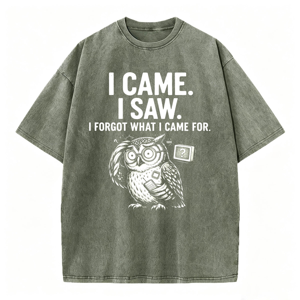I Came. I Saw. I Forgot What I Came For. Funny Owl Vintage T-Shirt