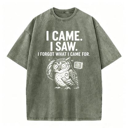 I Came. I Saw. I Forgot What I Came For. Funny Owl Vintage T-Shirt