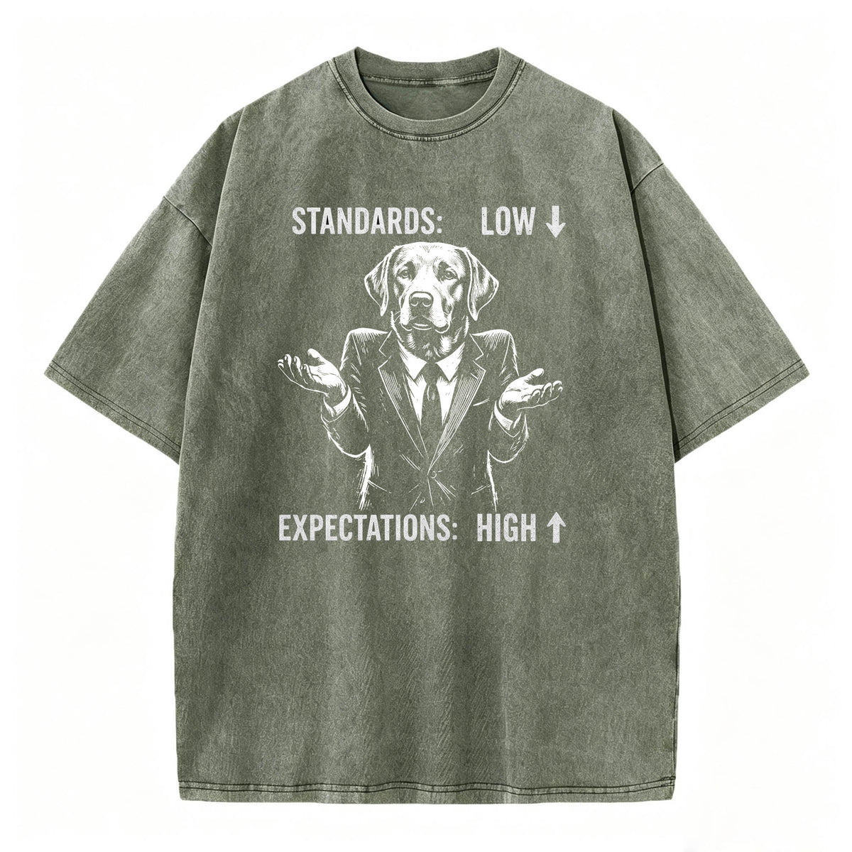 Standards Low Expectations High Funny Sarcastic T-Shirt