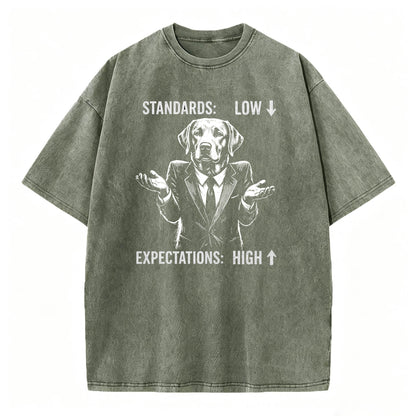Standards Low Expectations High Funny Sarcastic T-Shirt